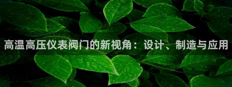 新宝GG之家