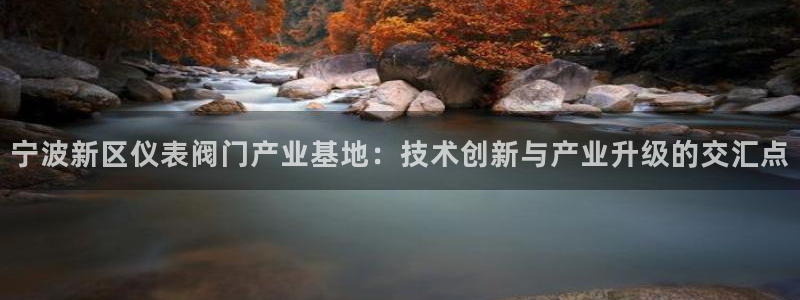新宝gg入口网址