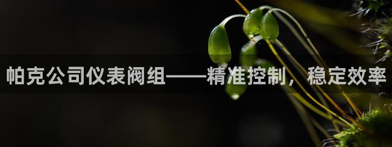 新宝gg平台下载安装